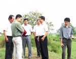 Đoàn khảo sát của Ban VHXH