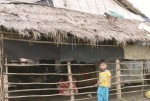 Chuẩn nghèo Việt Nam chưa bằng 50% thế giới