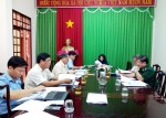 Họp Tổ đại biểu HĐND tỉnh trước kỳ họp thứ chín, HĐND tỉnh khóa IX