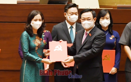 PHÊ CHUẨN KẾT QUẢ BẦU 63 TRƯỞNG ĐOÀN ĐẠI BIỂU QUỐC HỘI CÁC TỈNH, THÀNH PHỐ