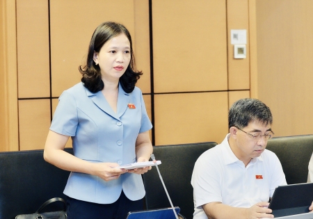 Phó trưởng đoàn chuyên trách, phụ trách Đoàn ĐBQH tỉnh Điểu Huỳnh Sang phát biểu thảo luận