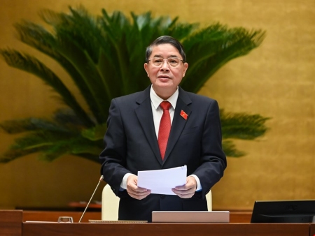 Nguyễn Đức hải