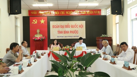 chất vấn chiều 20 3