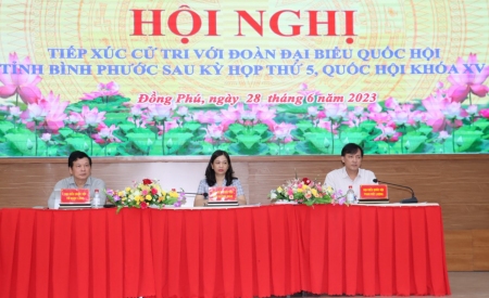 ảnh TXCT 28 6