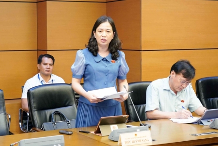 Công tác quản lý nhà nước về đất đai hiện nay còn nhiều bất cập