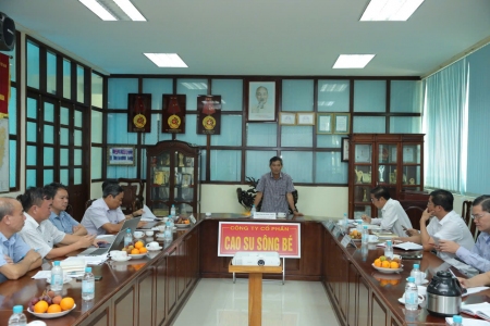 ảnh gát sat cty Sông Bé 5