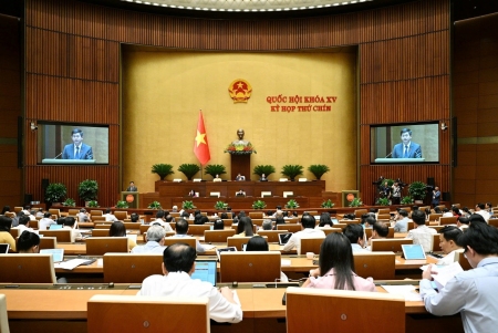 QH biểu quyết