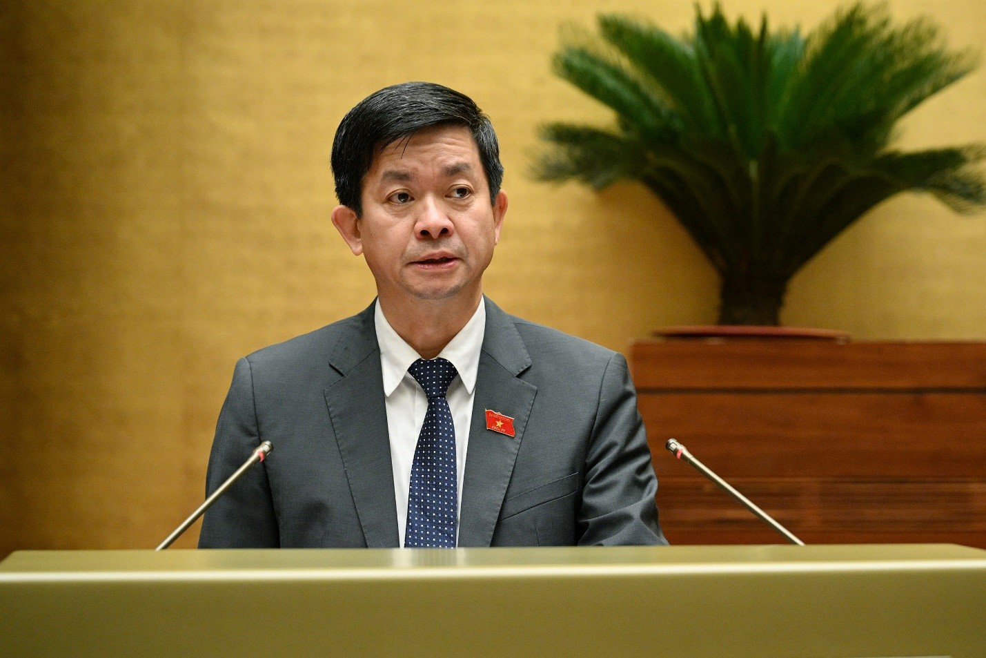 lê quang tùng